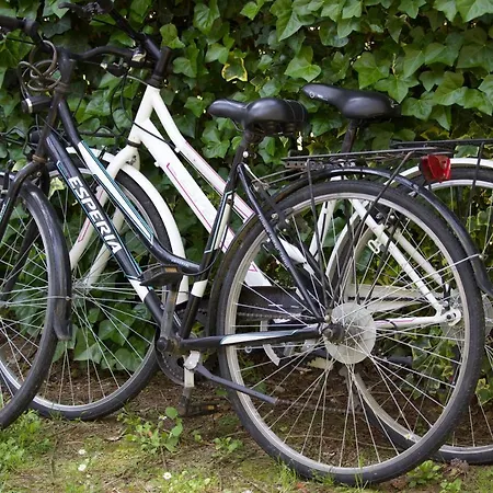 Apartment Antonietta 1, Giardino Privato, Mare E Pineta